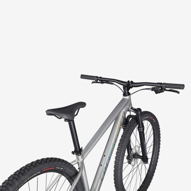 Specialized - bicicleta MTB hardtail cu roti 29" Rockhopper Expert - argintiu-negru