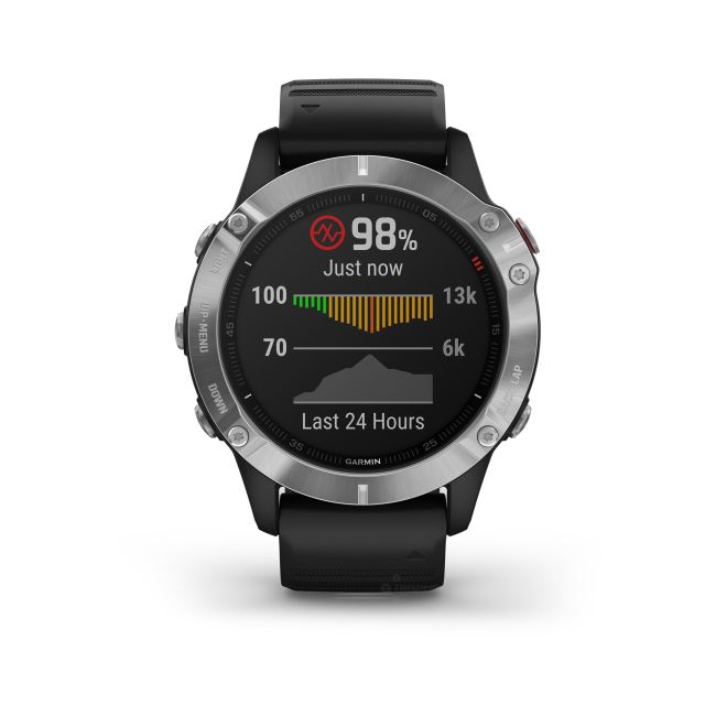 Garmin Fenix 6 Silver - curea neagra