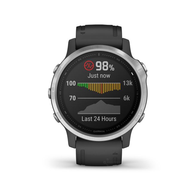Garmin Fenix 6s Silver - curea neagra