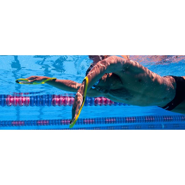 Finis Fulcrum Antebrat juniori