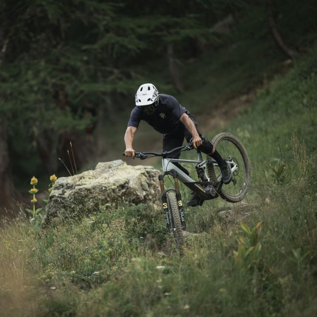 Orbea WILD H10 - bicicleta electrica e-MTB Trail full suspension 29 - maro cu componente custom Fox Kashima