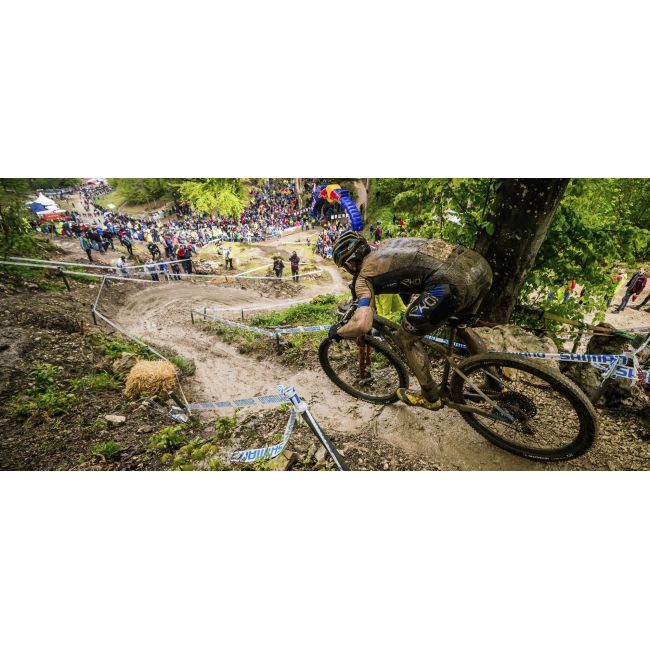 Orbea - bicicleta MTB hardtail cu roti 29" - Alma H30 - albastru-galben
