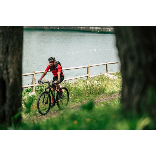 Merida Big.Nine 700 - bicicleta MTB hardtail XC 29" - verde Ever Green