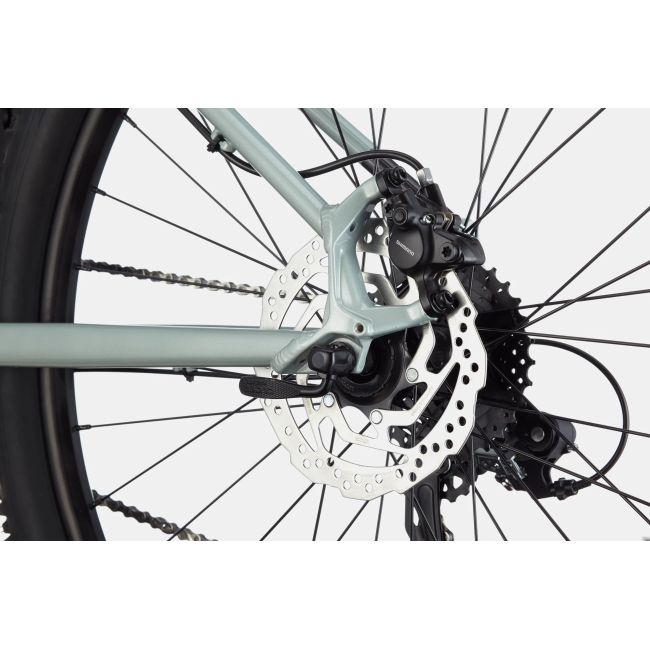 Cannondale Trail 8 bicicleta MTB hardtail - gri Sage