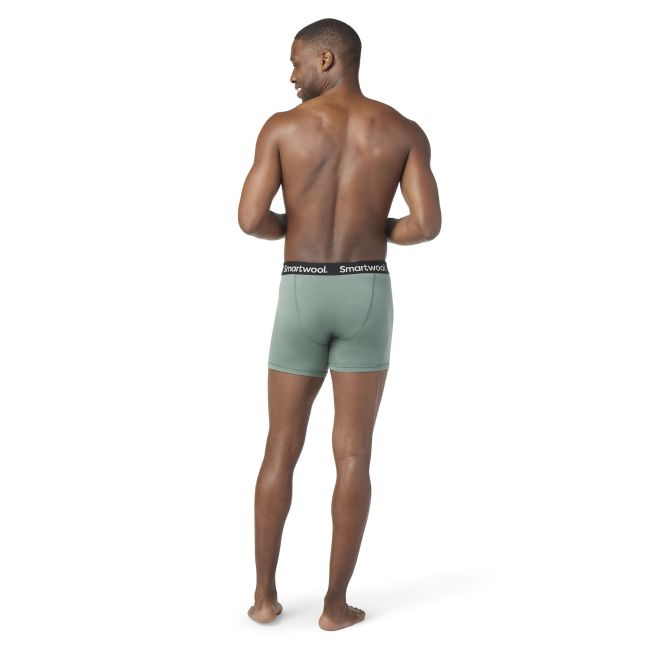 Smartwool - boxeri barbati Merino Boxer Brief Boxed - verde deschis salvie