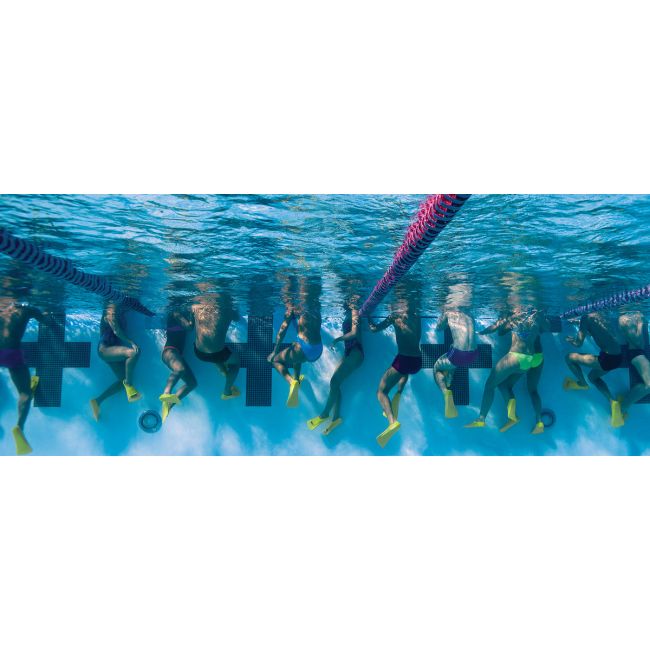 Finis Zoomers Gold labe scurte
