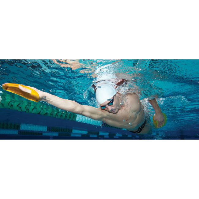 Finis Agility palmare
