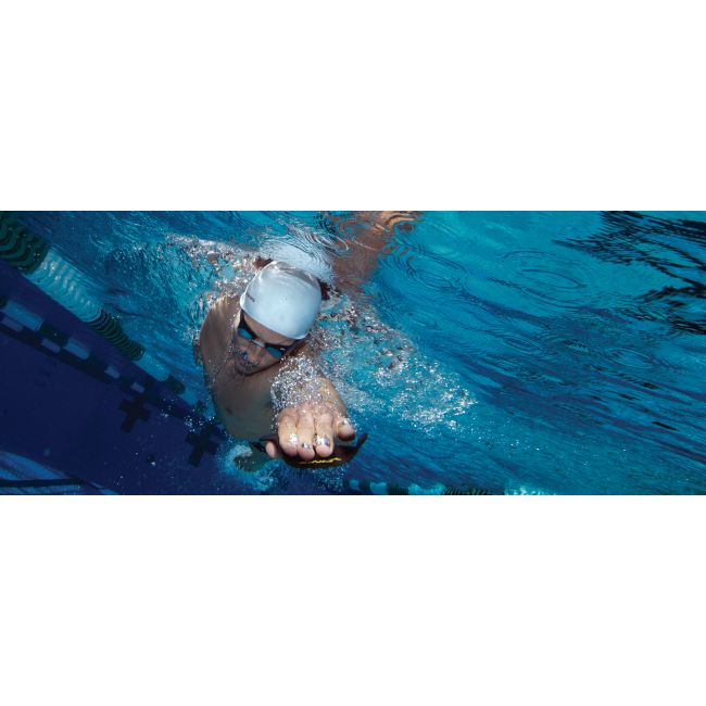 Finis Instinct palmare