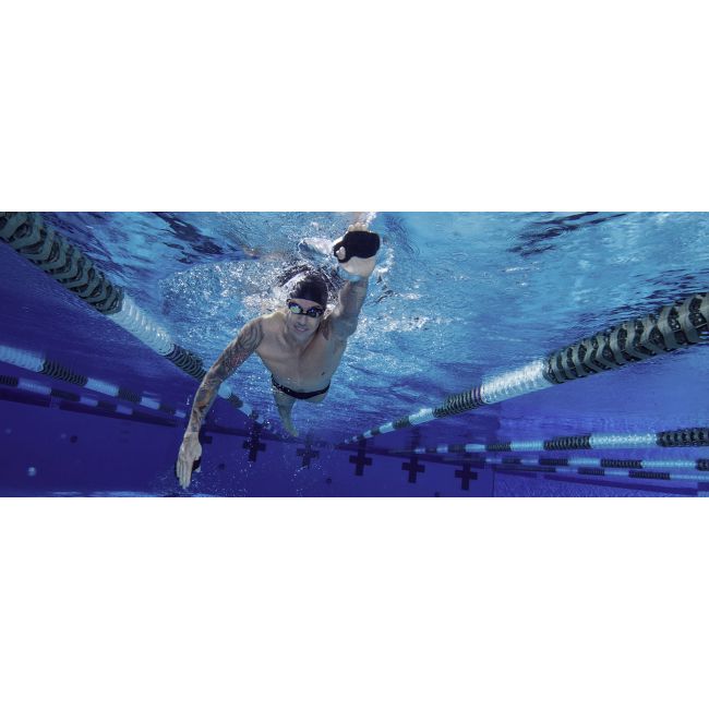 Finis Instinct palmare