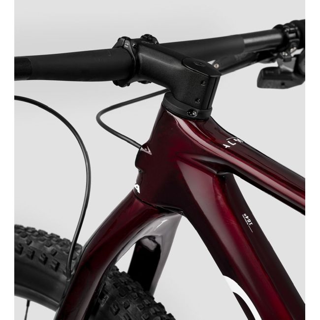 Bicicletă MTB XC hardtail Orbea ALMA M TEAM - Red Wine Carbon View (Gloss) | Carbon Raw (Matt)
