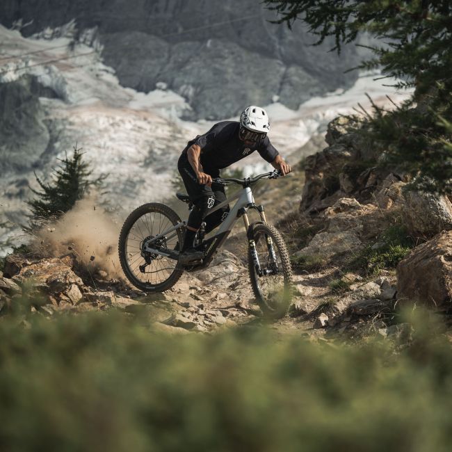 Orbea WILD M-LTD Carbon Raw (Matt) - Titanium - bicicletă electrică eMTB Enduro