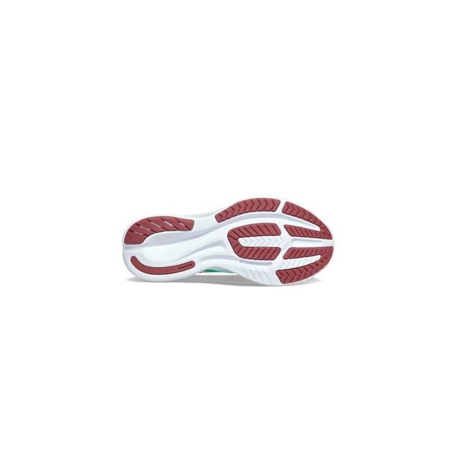 Saucony - pantofi alergare pentru femei - Ride 16 - sprig | peony