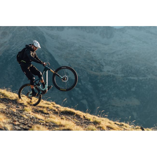 Orbea RISE M-TEAM Cabon Raw-Shark Grey (Matt) - măsura S - bicicletă electrică eMTB Trail