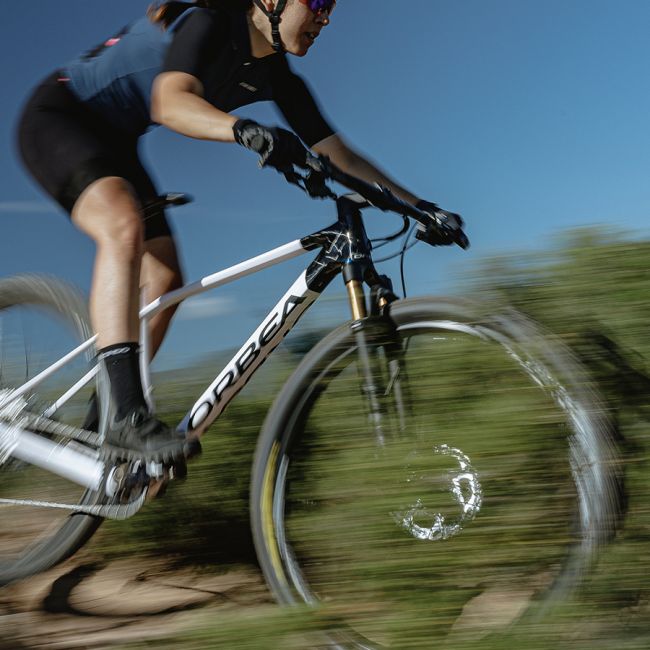 Bicicletă MTB XC hardtail Orbea ALMA H20 - Taupe Brown (Matt) | Mango (Gloss)