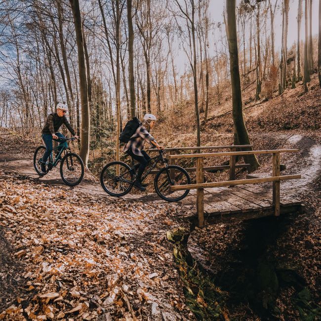 Focus Whistler 3.6 - bicicleta MTB hardtail 27.5" - 2024 - gri