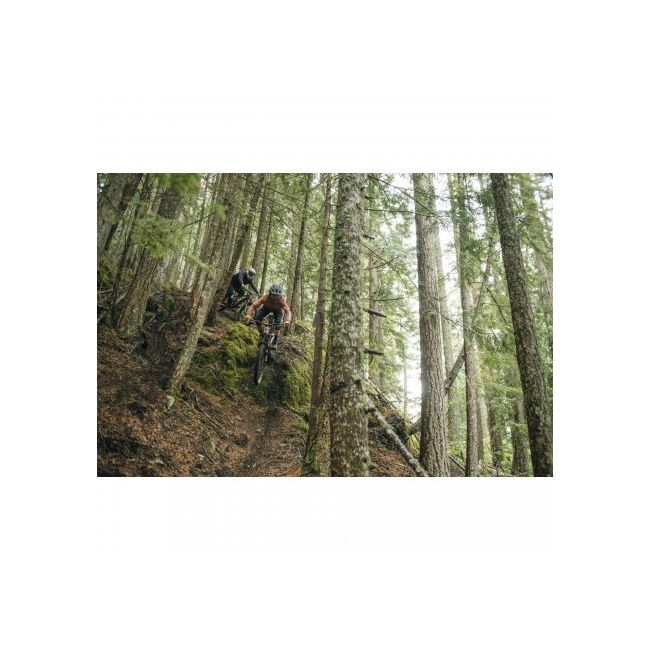 Casca SPECIALIZED Gambit - Oak Green
