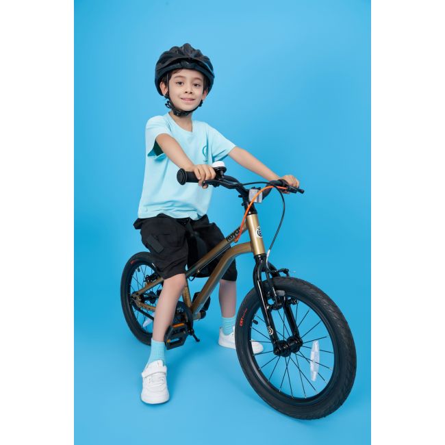 Bicicleta Royal Baby Kable-Belt 16 Golden