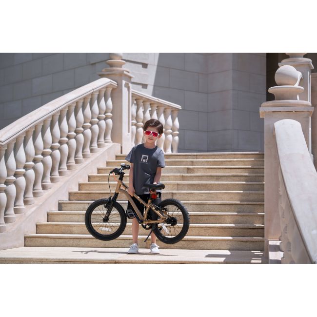 Bicicleta Royal Baby Kable-Belt 16 Golden