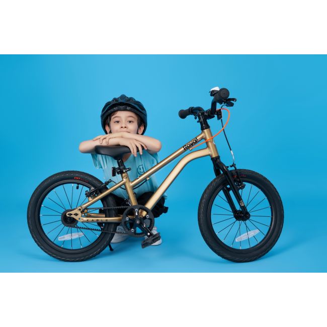 Bicicleta Royal Baby Kable-Belt 16 Golden