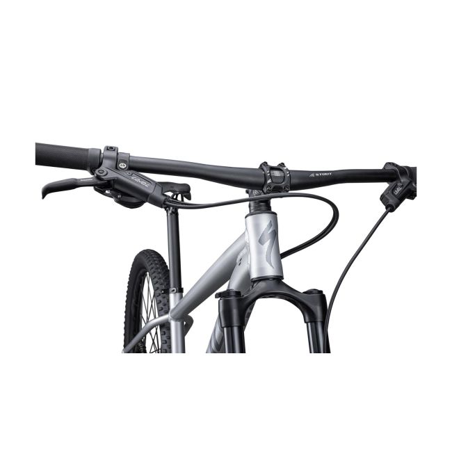Bicicleta SPECIALIZED Rockhopper Expert 29 - Satin Silver Dust/Black Holographic M