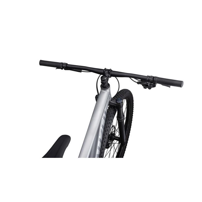 Bicicleta SPECIALIZED Rockhopper Expert 29 - Satin Silver Dust/Black Holographic M