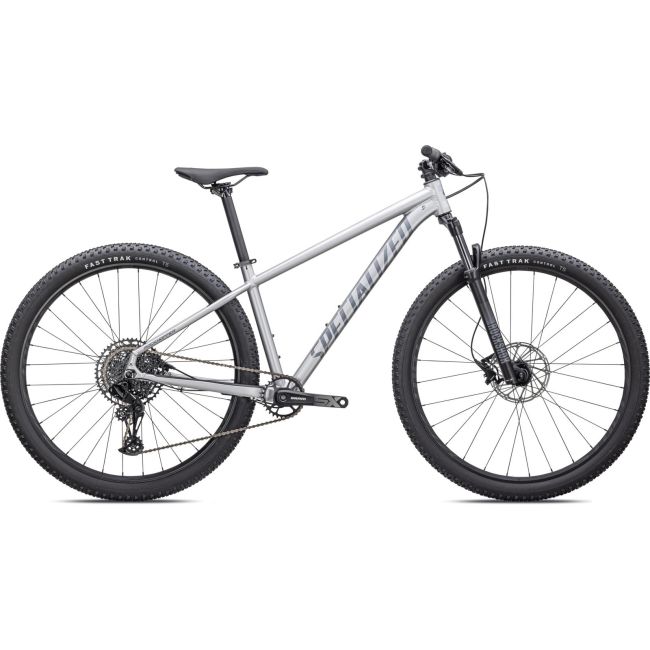 Bicicleta SPECIALIZED Rockhopper Expert 29 - Satin Silver Dust/Black Holographic M