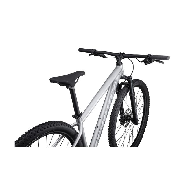 Bicicleta SPECIALIZED Rockhopper Expert 29 - Satin Silver Dust/Black Holographic M
