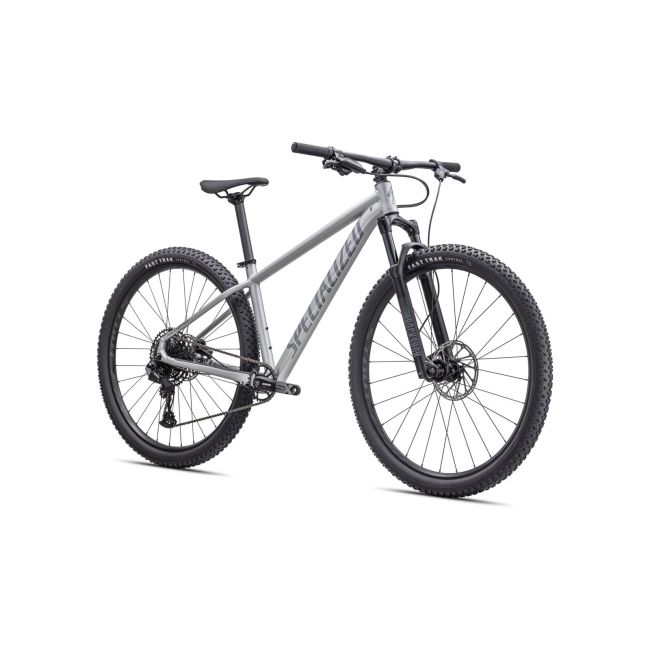 Bicicleta SPECIALIZED Rockhopper Expert 29 - Satin Silver Dust/Black Holographic XXL