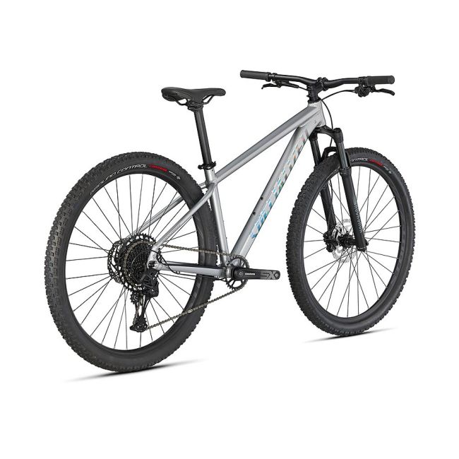 Bicicleta SPECIALIZED Rockhopper Expert 29 - Silver Dust/Black Holographic XXL