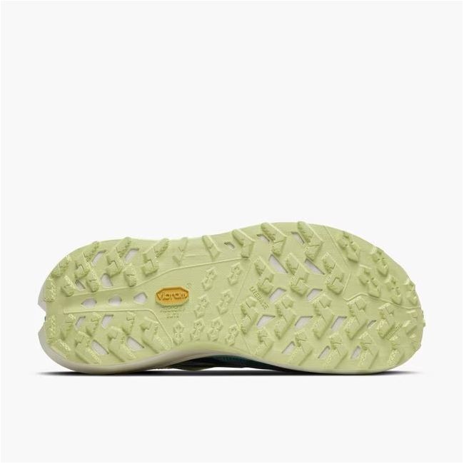Pantofi trail Brooks Cascadia Elite - alb | placă carbon