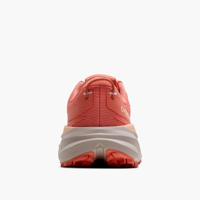 Pantofi trail Brooks Cascadia 19 W - roz | alergare munte