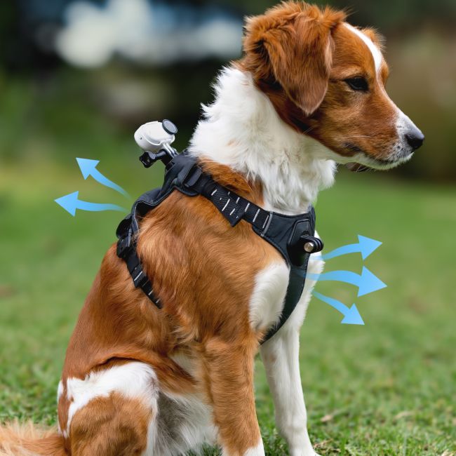Ham de prindere pentru animale Insta360 GO 3 / GO 3S - mărimea M