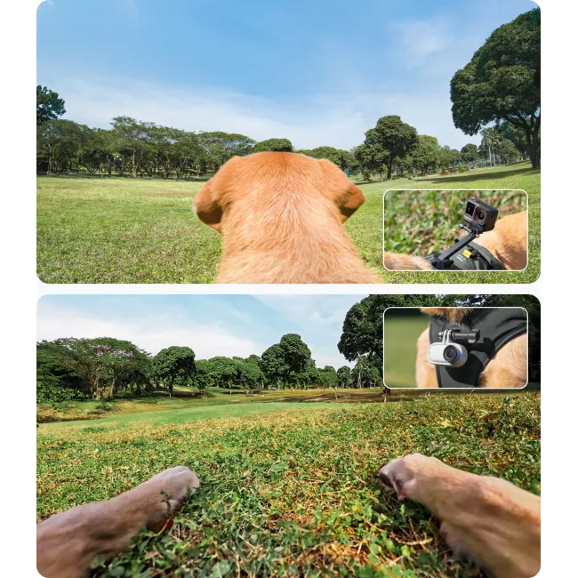 Ham de prindere pentru animale Insta360 - mărimea L