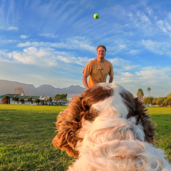 Ham pentru animale Insta360 Pet Harness Mount GO Ultra - mărimea M