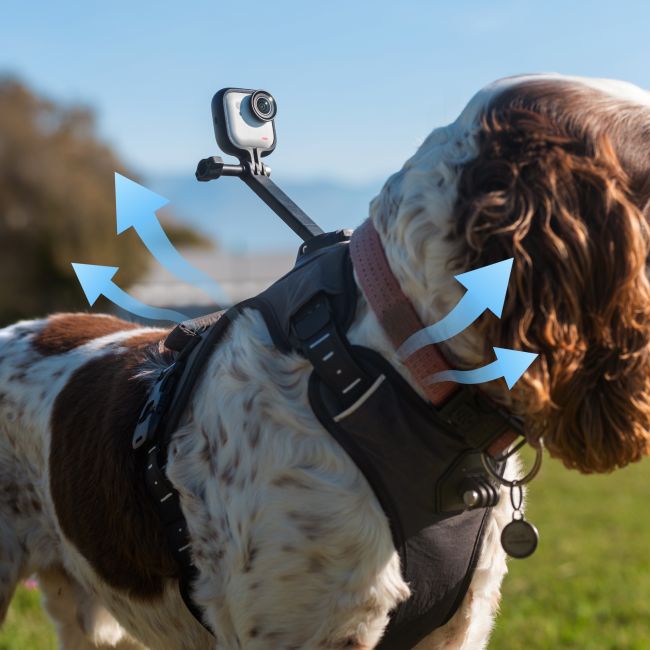 Ham pentru animale Insta360 Pet Harness Mount GO Ultra - mărimea S