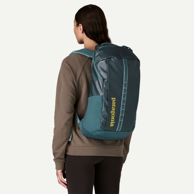Rucsac Patagonia Black Hole Pack 25L - verde petrol cu roz