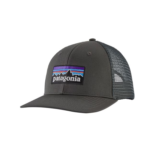 Șapcă Patagonia P-6 Logo Trucker Hat - albastru deschis