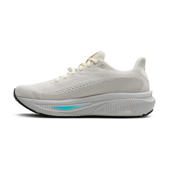 Brooks Ghost 17 GTX W – Pantofi alergare impermeabili GORE-TEX - Gri