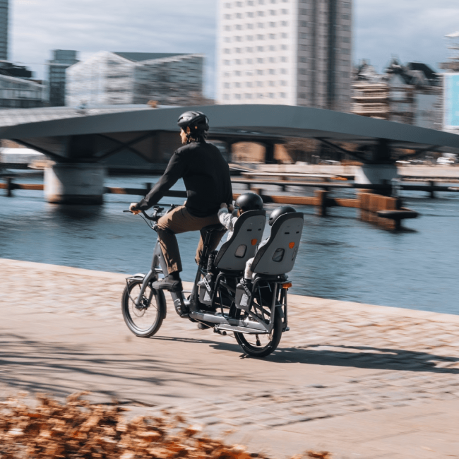 Scaun bicicleta copii THULE Yepp 2 Maxi cu montare pe spate - Midnight Black