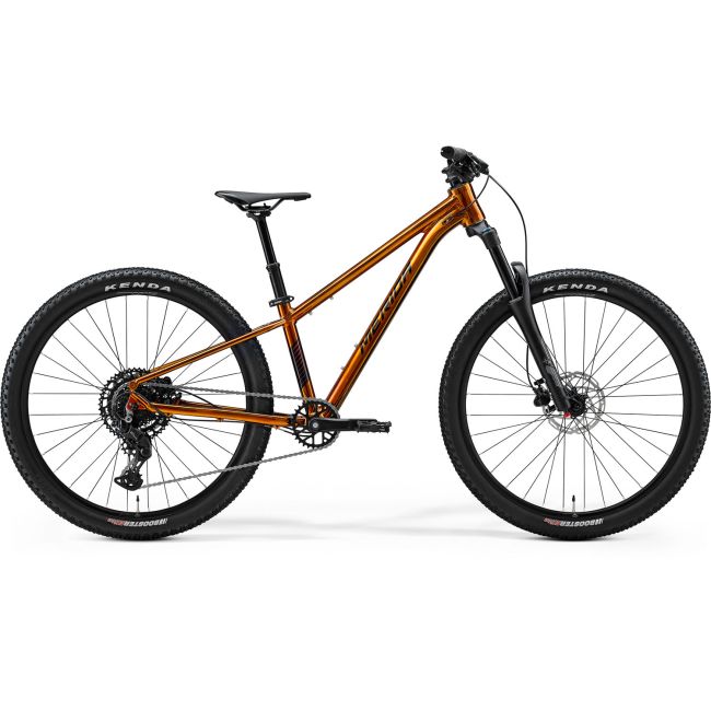 Merida Matts J.Champion Miere sălbatică (Negru)