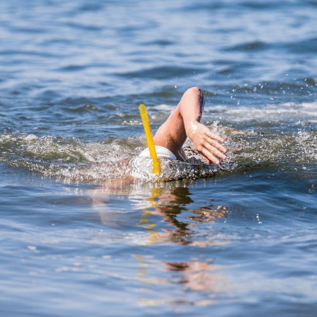 Finis Snorkel adulti
