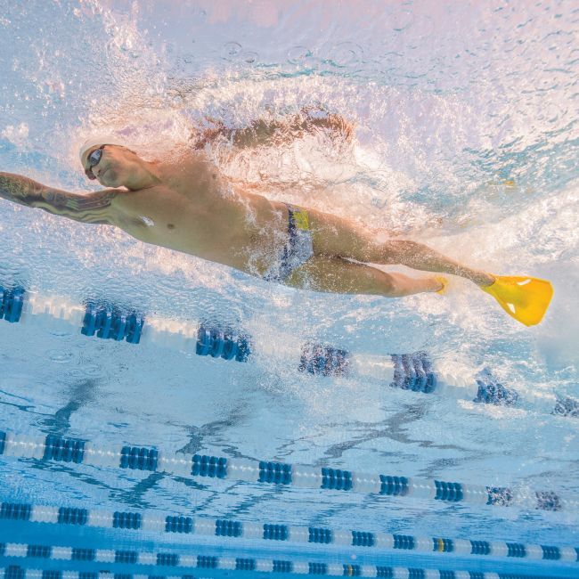Finis Edge labe
