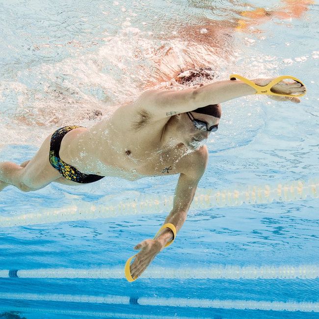 Finis Fulcrum Antebrat adulti
