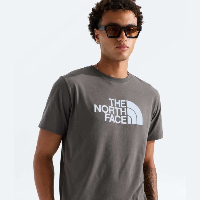 Tricou The North Face Evolution Half Dome Regular Tee pentru bărbați - verde New Taupe Green | Circular Design