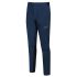 INOV8 VentureLite Pant – Pantaloni outdoor - Albastru închis