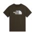 Tricou The North Face Evolution Half Dome Regular Tee pentru bărbați - verde New Taupe Green | Circular Design