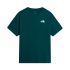 Tricou The North Face Evolution Box NSE Regular pentru bărbați - negru Black | White | poliester reciclat