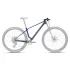 Orbea ALMA CARBON (2027) - cadru MTB XC hardtail - Galactic Rainbow-Sunset C.View (Gloss)