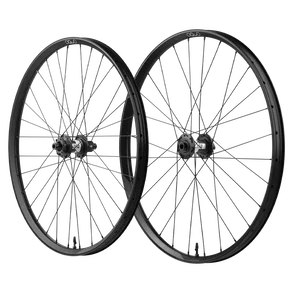 Orbea WILD TR M-TEAM (2027) - bicicletă electrică eMTB Trail - Desert Rose (Matt) - Burning Ashes C. View (Gloss)